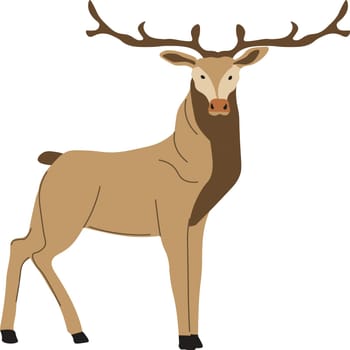 Forest deer hoofed grazing animal portrait vector