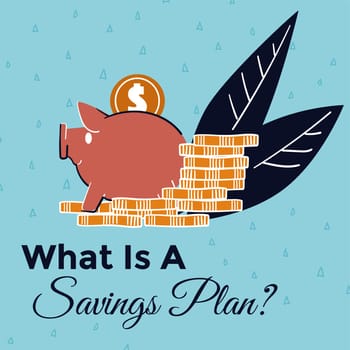 What is a savings plan, budget controlling banner