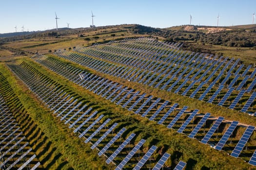 Ecology solar power station panels