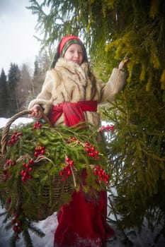 Teen girl in thick coat and a red sash with basket of fir branches and berries in cold winter day in forest. Medieval peasant girl with firewood. Photoshoot in stile of Christmas fairy tale