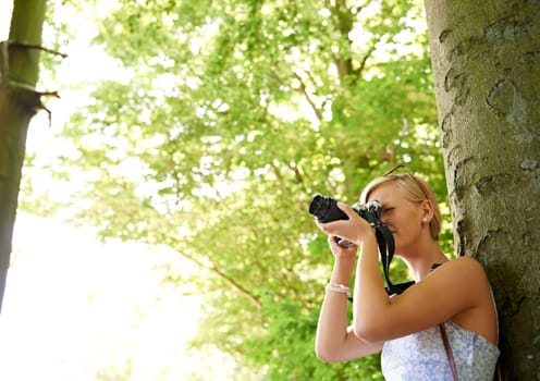 Photographer, shooting and woman in nature with trees, plants and travel in environment. Forest, park and freelancer filming outdoor ecology on summer holiday, trip or tourist with technology