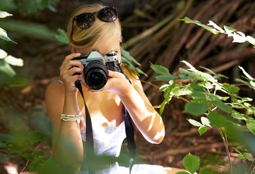 Shooting, photographer and travel with woman in forest for trees, environment and relax. Park, camera lens and photography with face of female person in woods for nature, tourism and summer