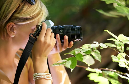 Shooting, photographer and nature with woman in forest for trees, environment and relax. Discover, camera lens and photography with face of female person in woods for travel, tourism and summer