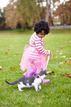 Nature, cat and girl playing in a garden on the grass on a summer weekend together. Happy, sunshine and portrait of child walking and having fun with kitten or feline animal pet on lawn in a field.
