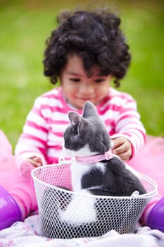 Nature, girl and kitten in a basket in a garden on the grass on a summer weekend together. Happy, sunshine and child or kid sitting and having fun with cat or feline animal pet on lawn in a field.