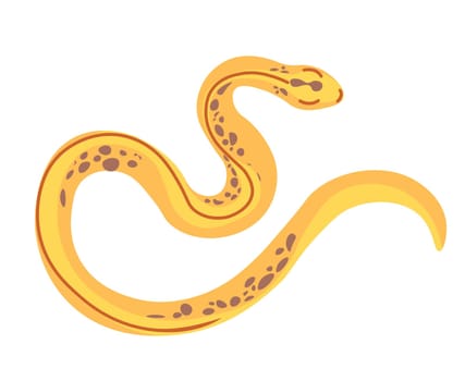 Tropical reptiles and serpents, yellow snakes