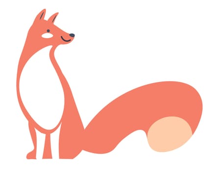 Fox with furry tail, mammal animals of woodland