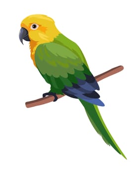 Colorful parrot sitting on branch, portrait bird