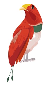 Tropical bird, avian animal or exotic parrots