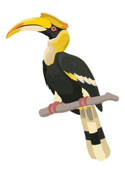 Exotic animal with curved beak sitting on twig