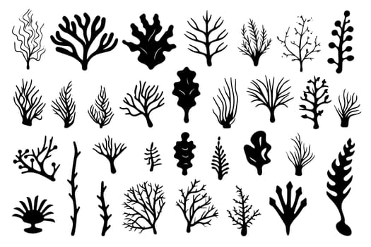 Hand drawn set of corals and seaweed silhouette isolated on white background. Vector icons and stamp illustration.