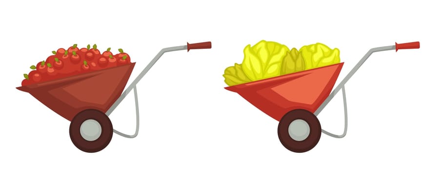 Harvesting on farm cabbage and tomatoes in cart