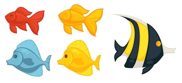 Aquarium dwellers, exotic fish biodiversity vector
