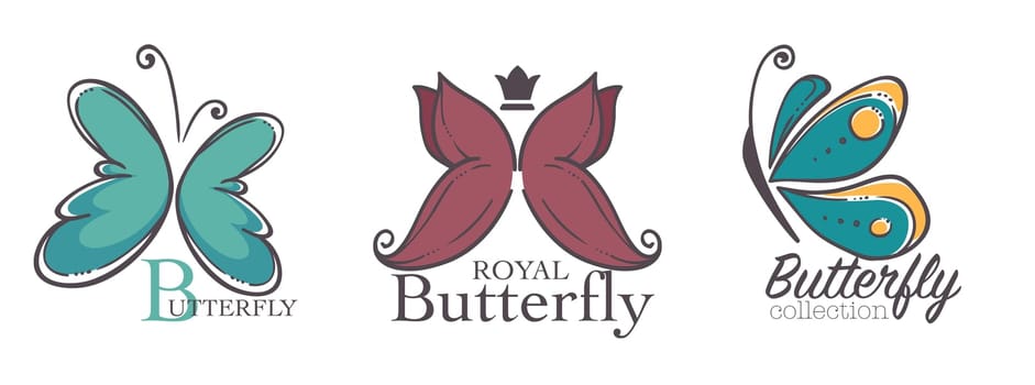 Royal butterfly collection, nature and wilderness
