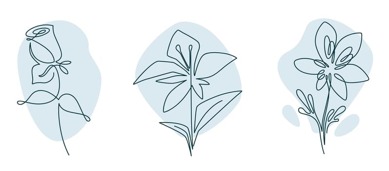 Minimalist flowers in blossom drawing vectors