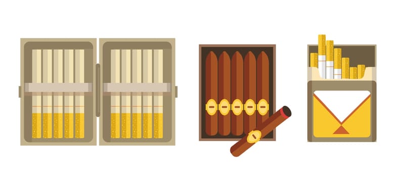 Cigarettes and cigars in package, smoking vector