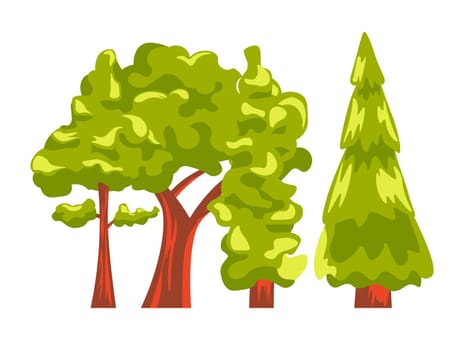 Trees in forest or woods, nature vegetation vector