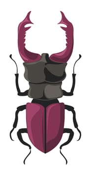 Bug Stag Beetle from Lucanidae family, vector