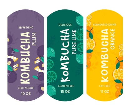 Kombucha refreshing and delicious drink package
