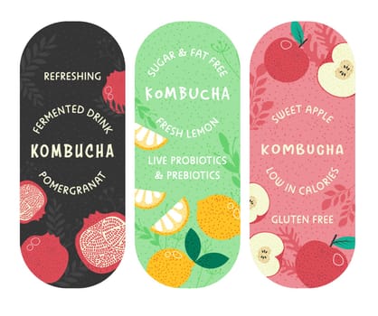 Kombucha stickers or package product design vector