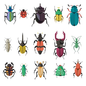 Bugs and beetles of nature, biodiversity vector