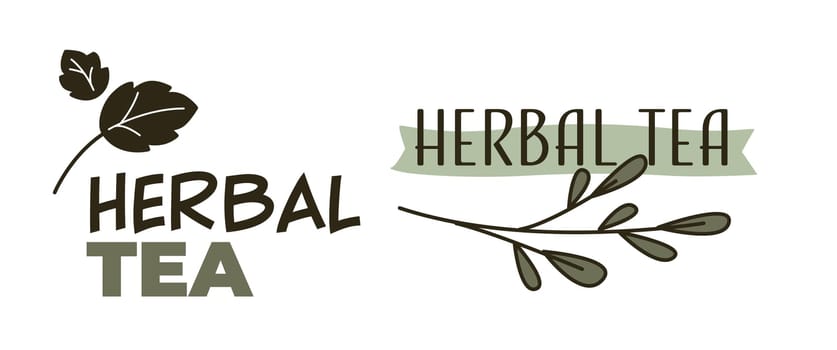 Herbal tea logotype, tasty beverage taste vector