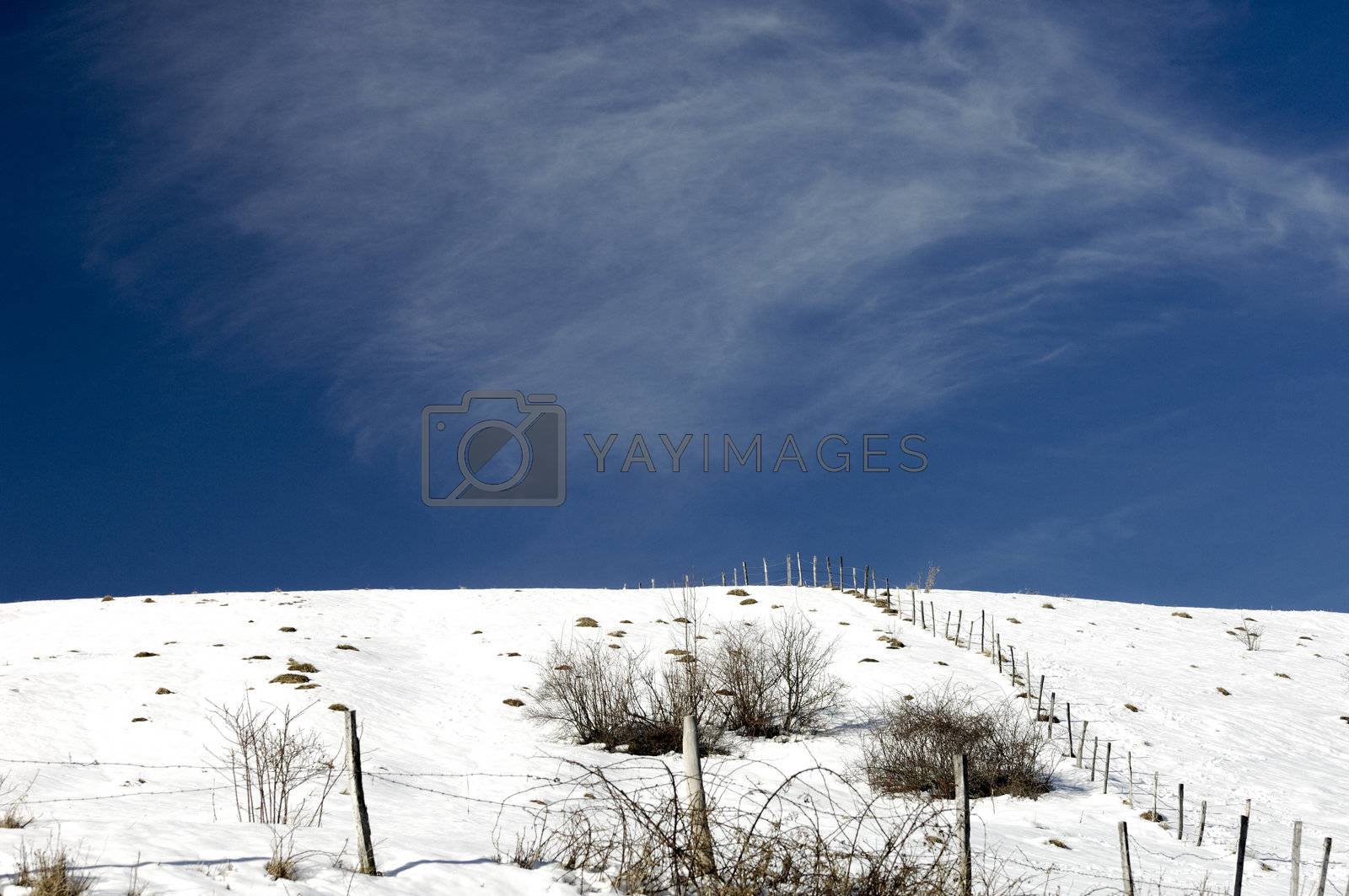 Royalty free image of Winter snow by swimnews