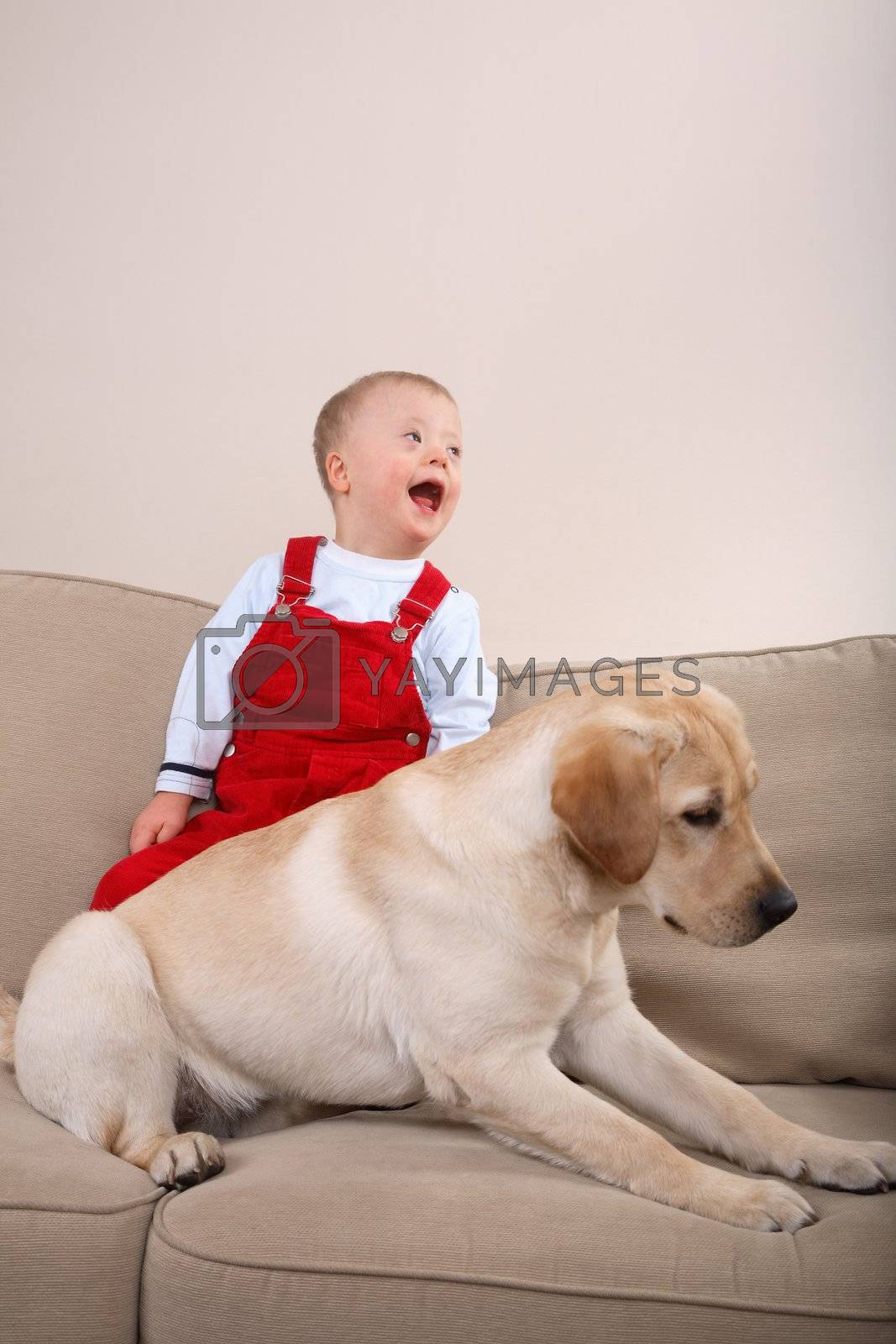 Royalty free image of Dog Therapy by linea