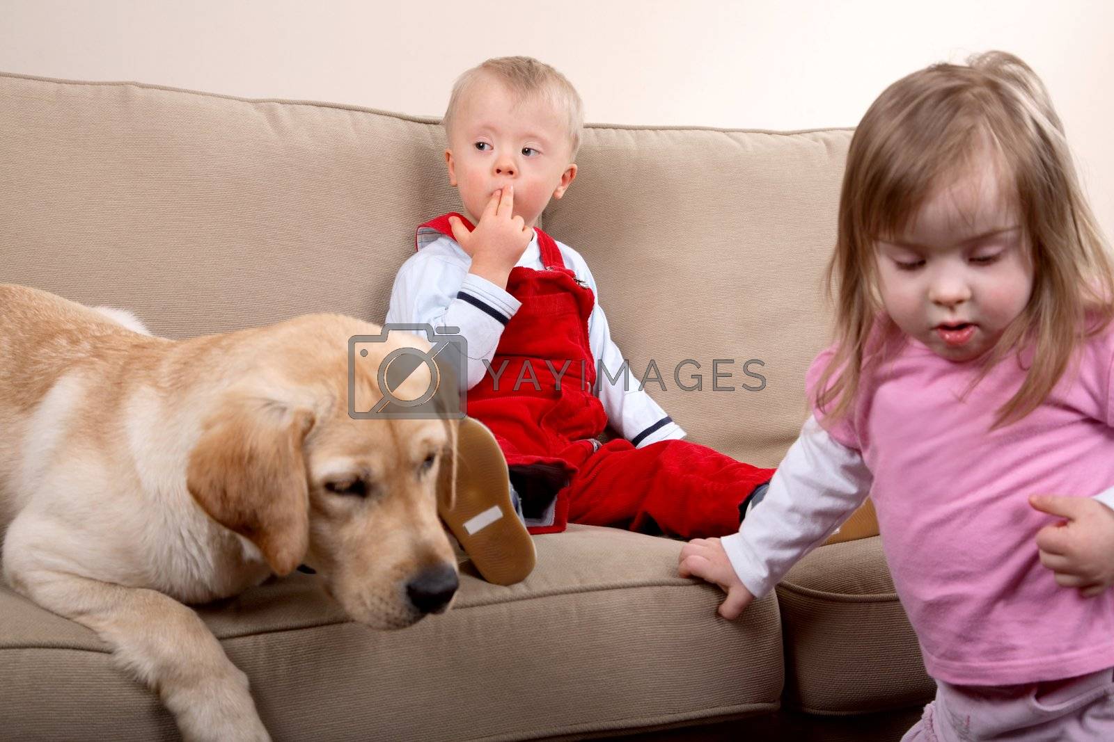 Royalty free image of Dog Therapy by linea