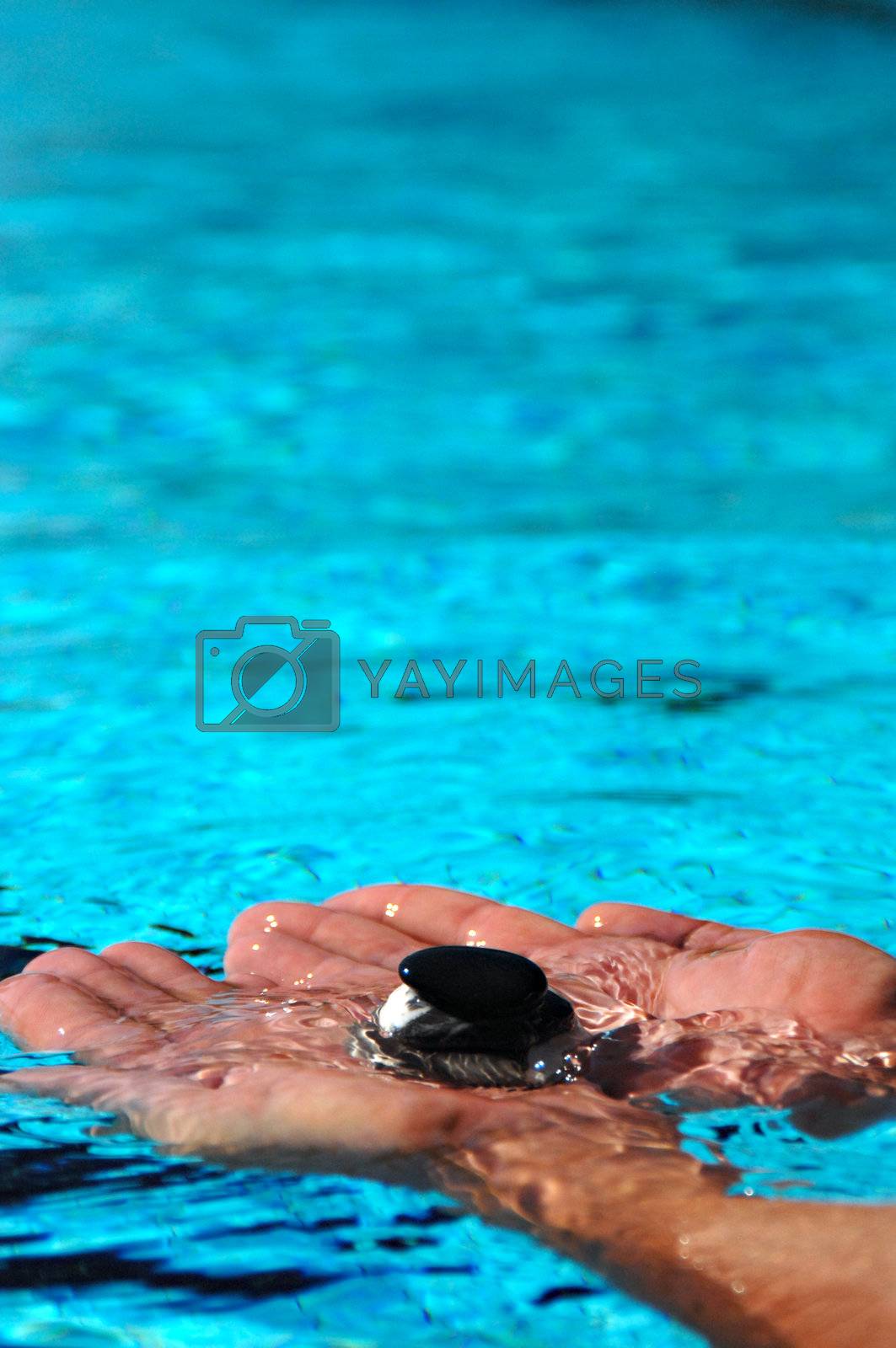Royalty free image of ZEN by swimnews