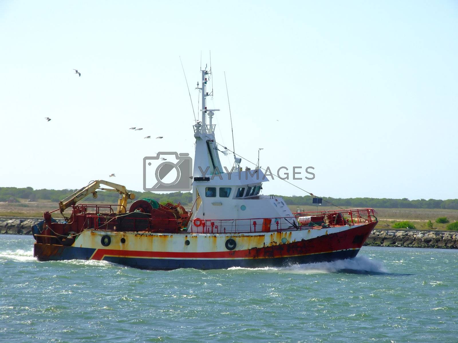 Royalty free image of Fishing boat by PauloResende