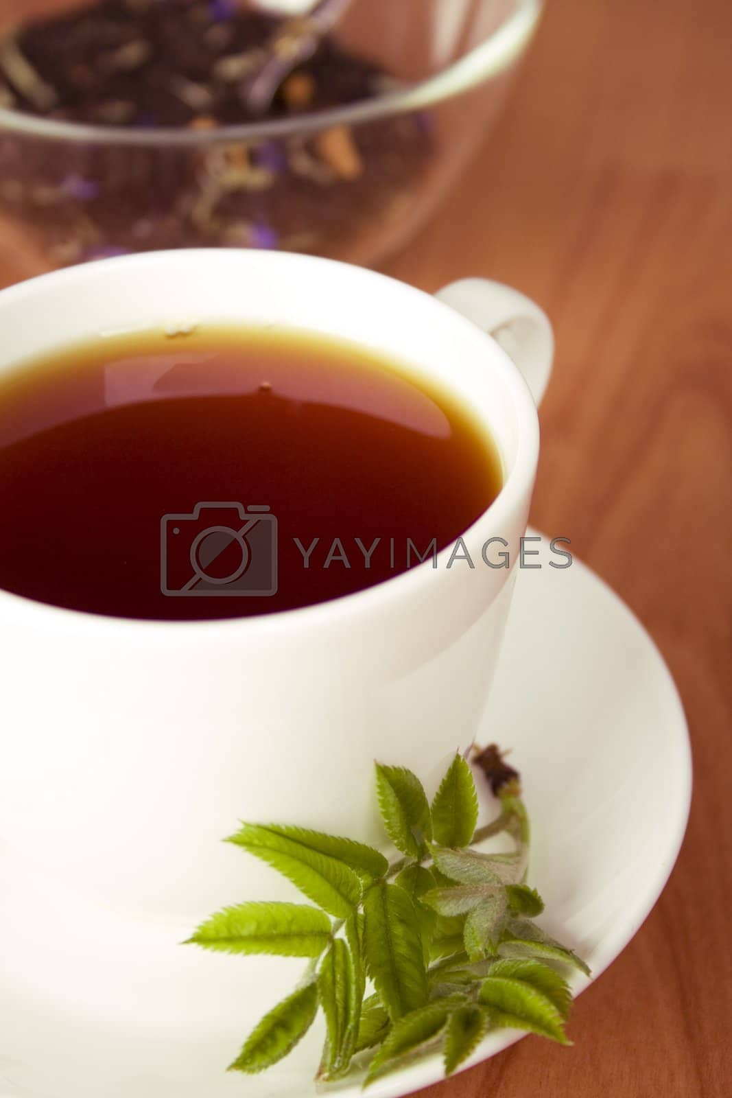 Royalty free image of cup of black tea by marylooo