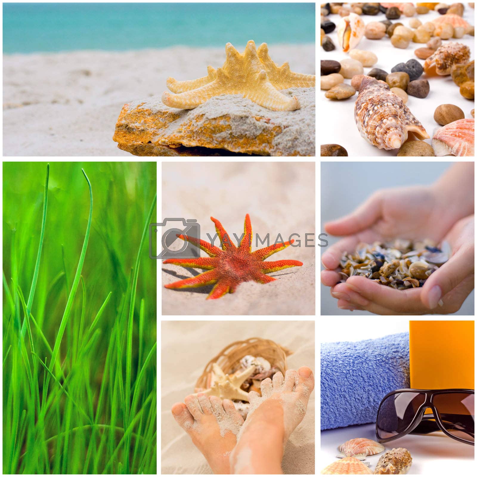 Royalty free image of beach collection by marylooo