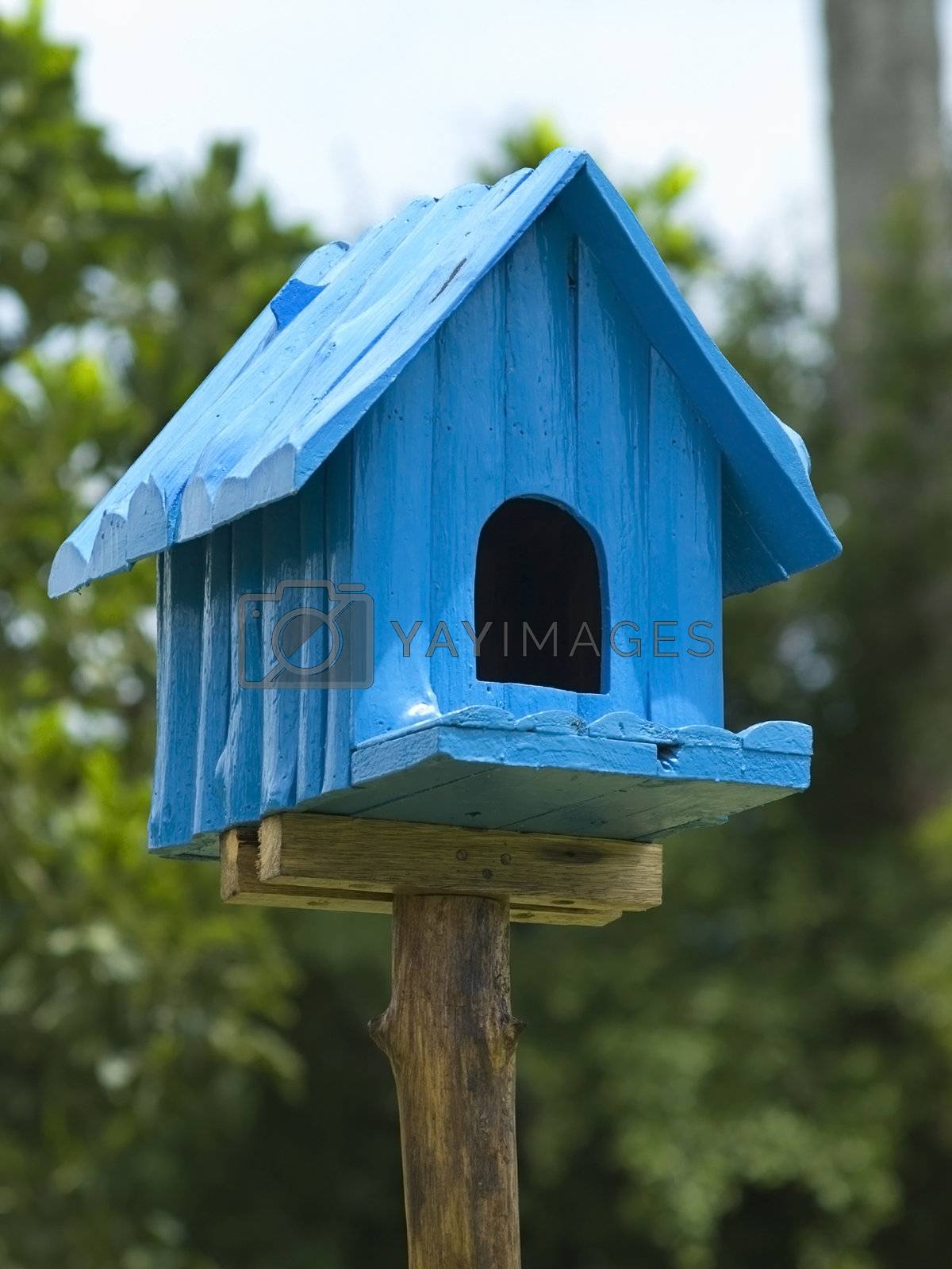 Royalty free image of Blue birdhouse by epixx