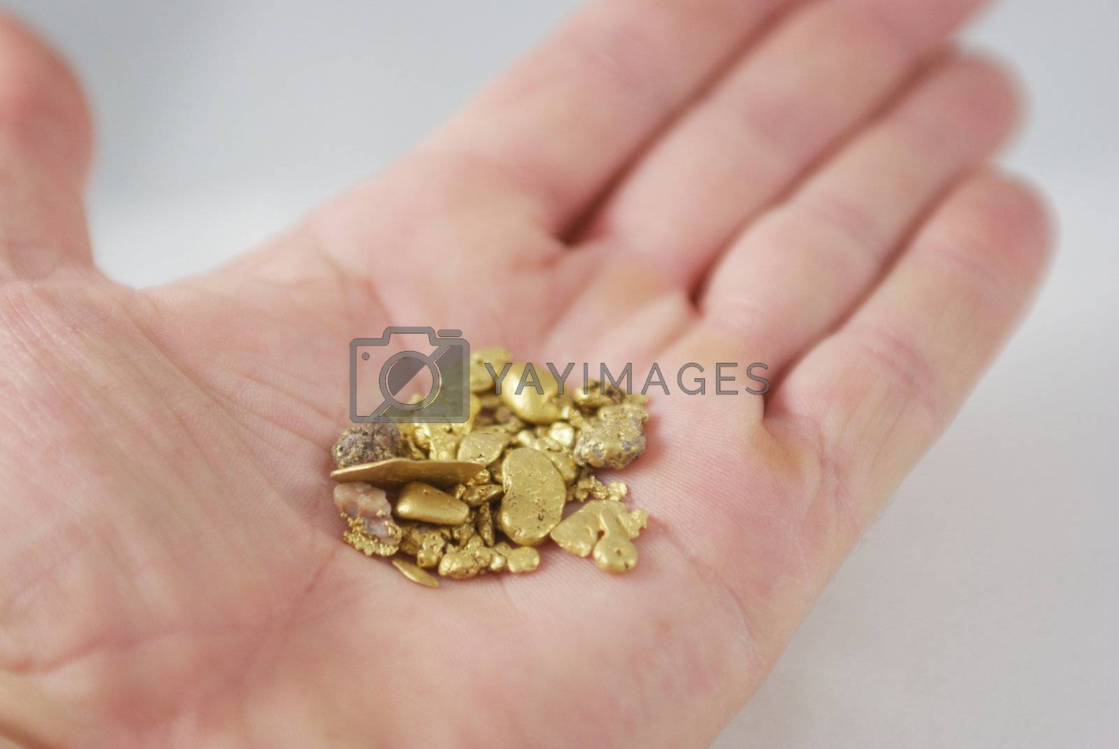 Royalty free image of Handful Of Gold Nuggets by bendicks