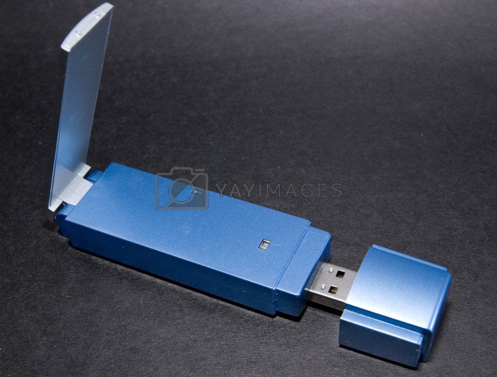Royalty free image of Wireless Bluetooth Adapter by andyphoto