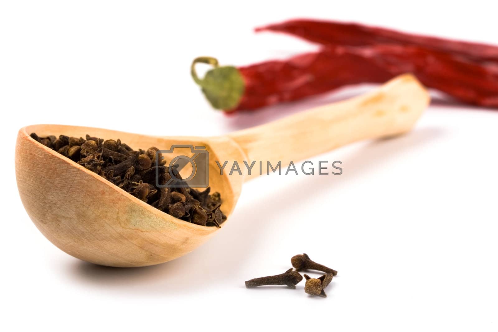 Royalty free image of spices by marylooo