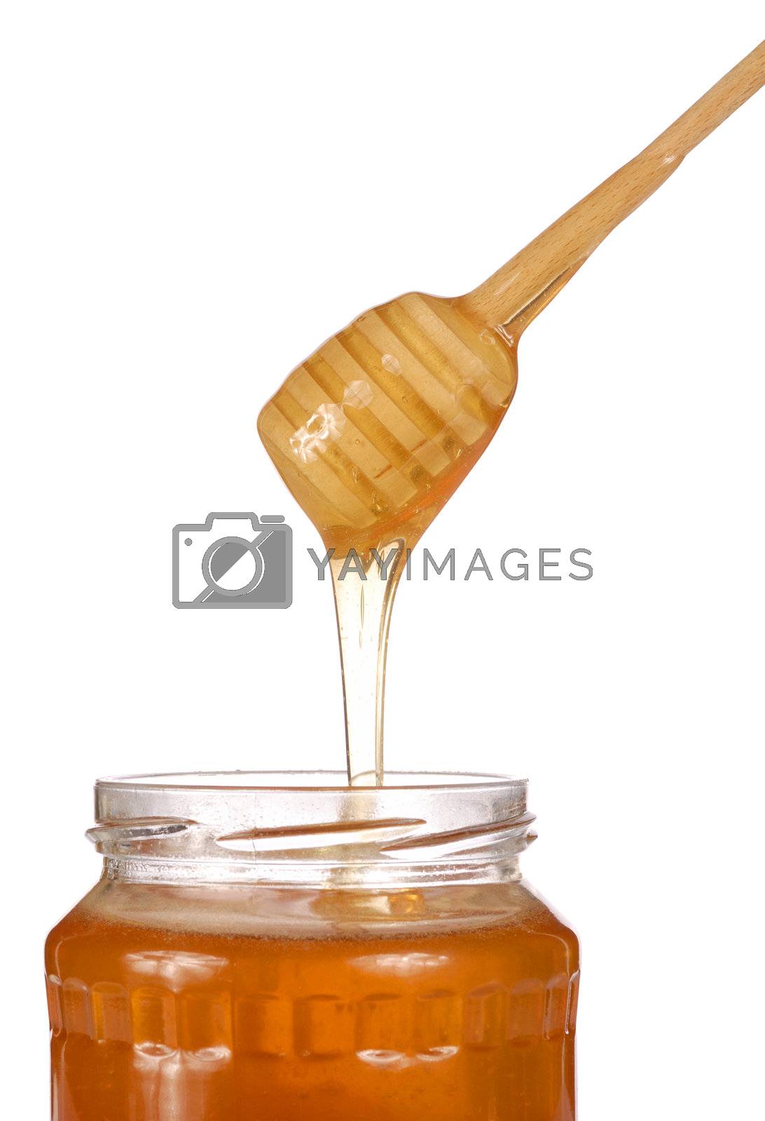 Royalty free image of Honey by ajt