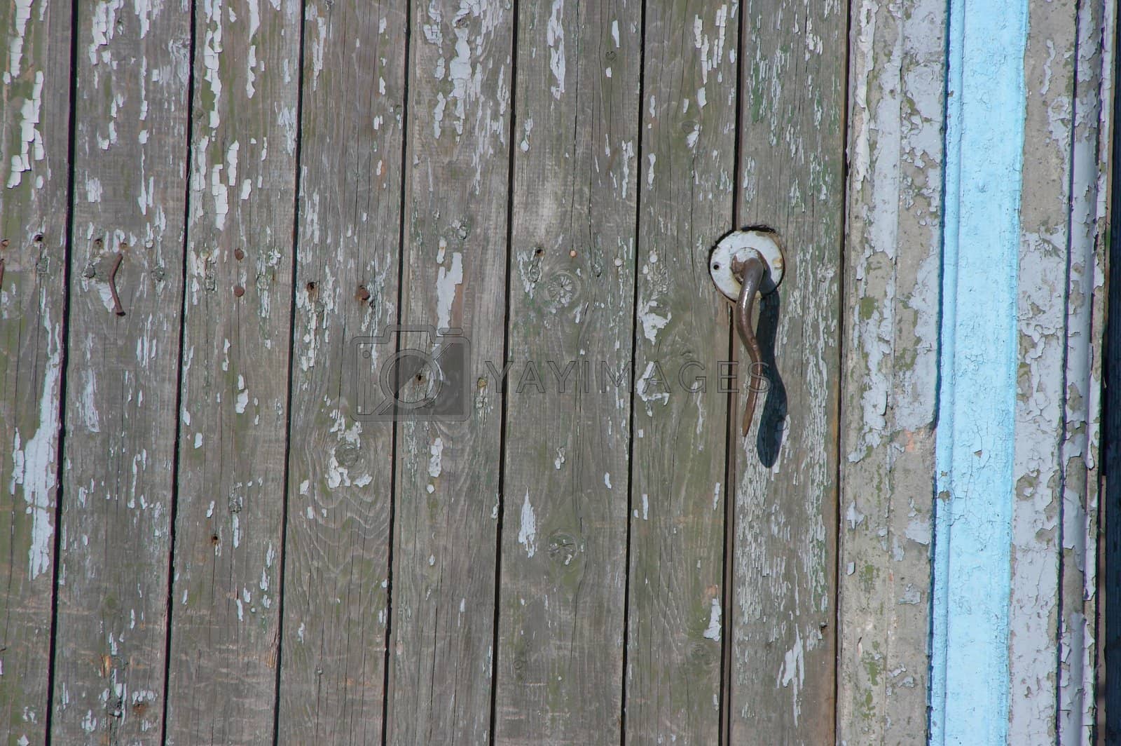 Royalty free image of Aged door handle on wooden entrance door by fotosergio