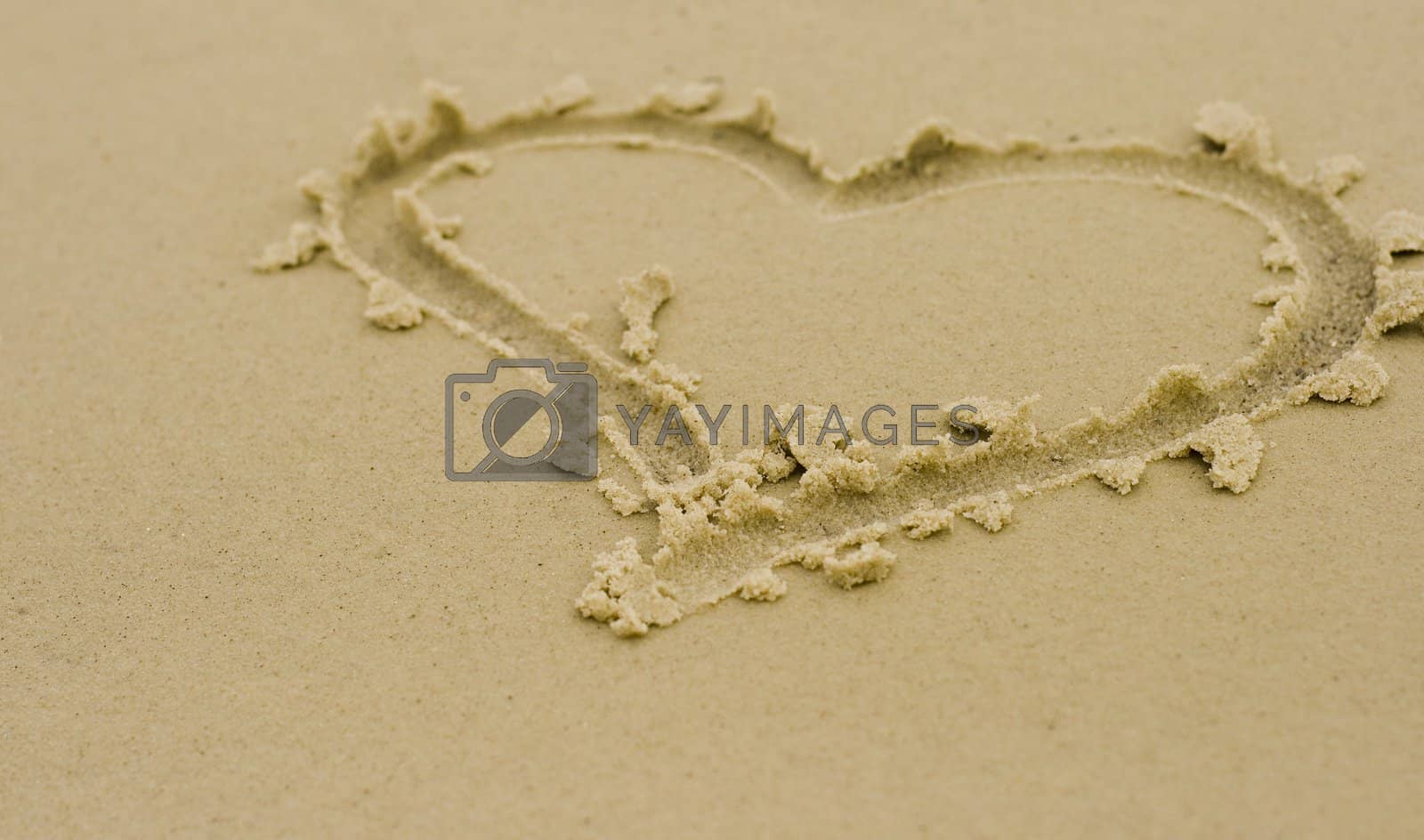 Royalty free image of heart on sand by marylooo