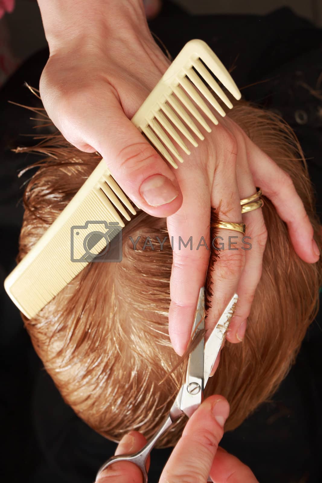 Royalty free image of professional haircut by sumos