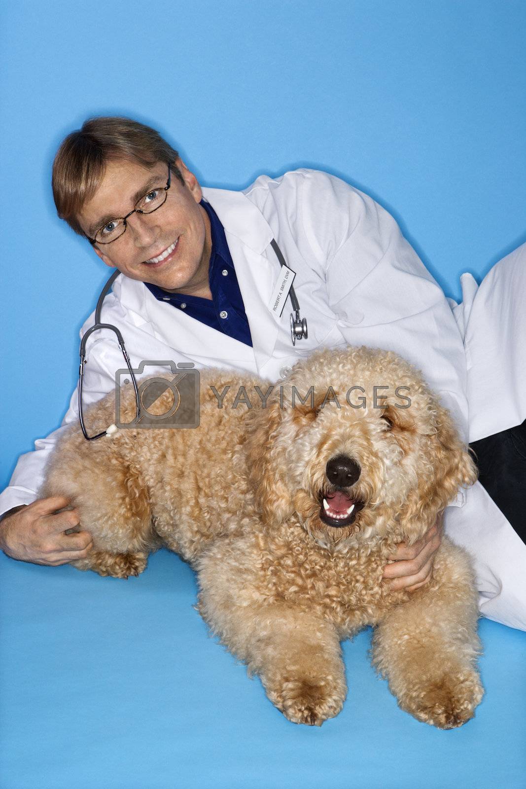 Royalty free image of Male veterinarian with Goldendoodle dog. by iofoto