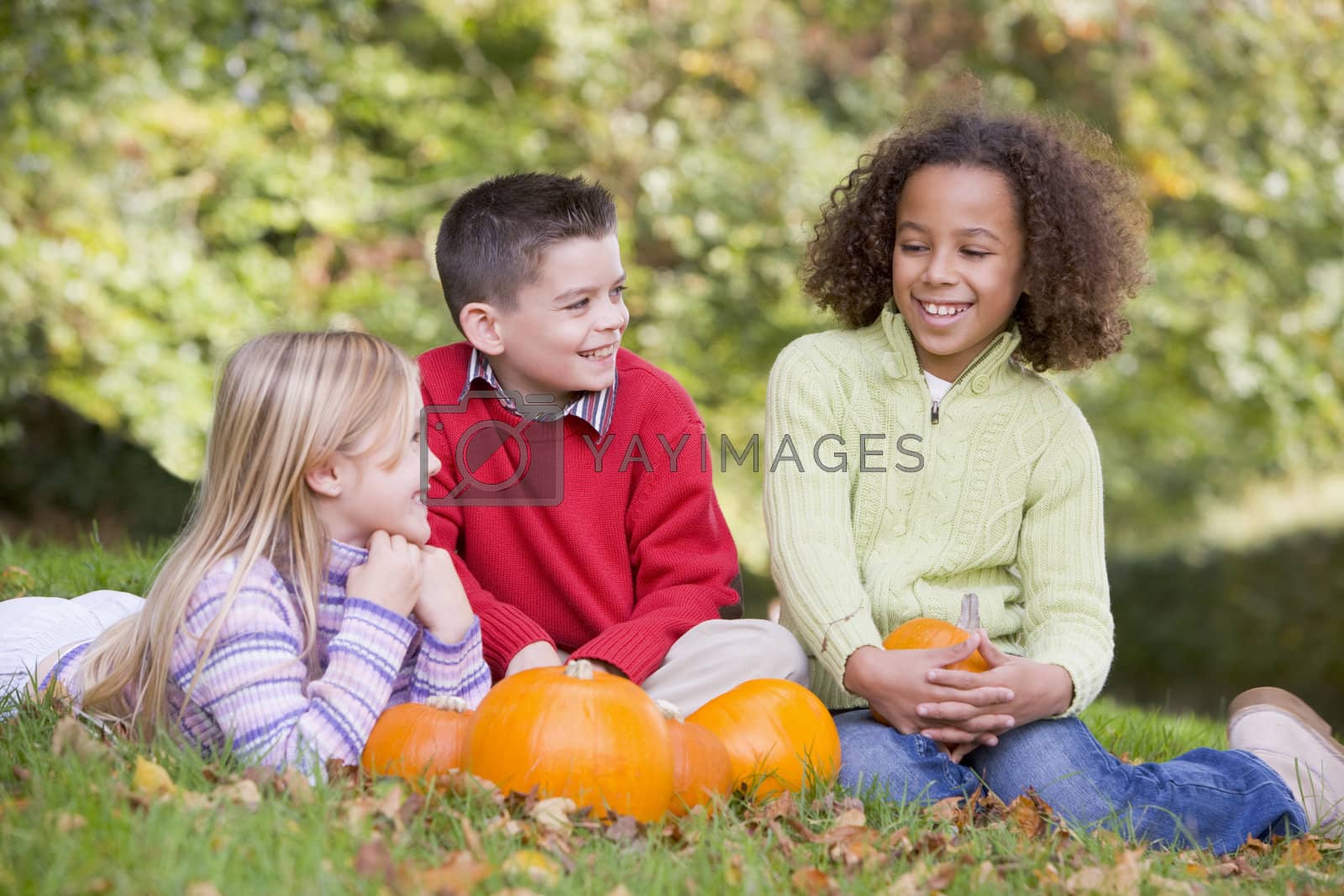 Royalty free image of Three young friends sitting on grass with pumpkins smiling by MonkeyBusiness