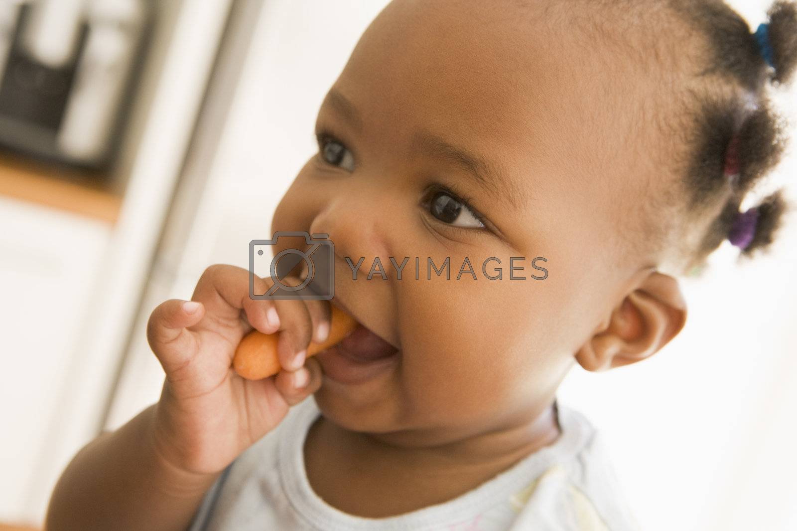 Royalty free image of Young girl eating carrot indoors by MonkeyBusiness