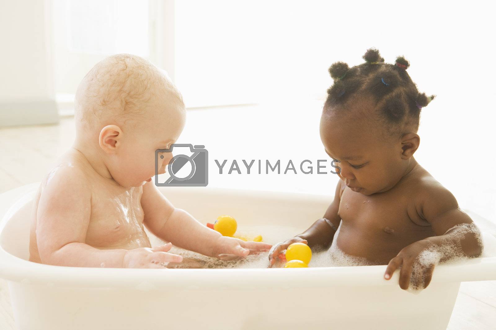 Royalty free image of Two babies in bubble bath by MonkeyBusiness