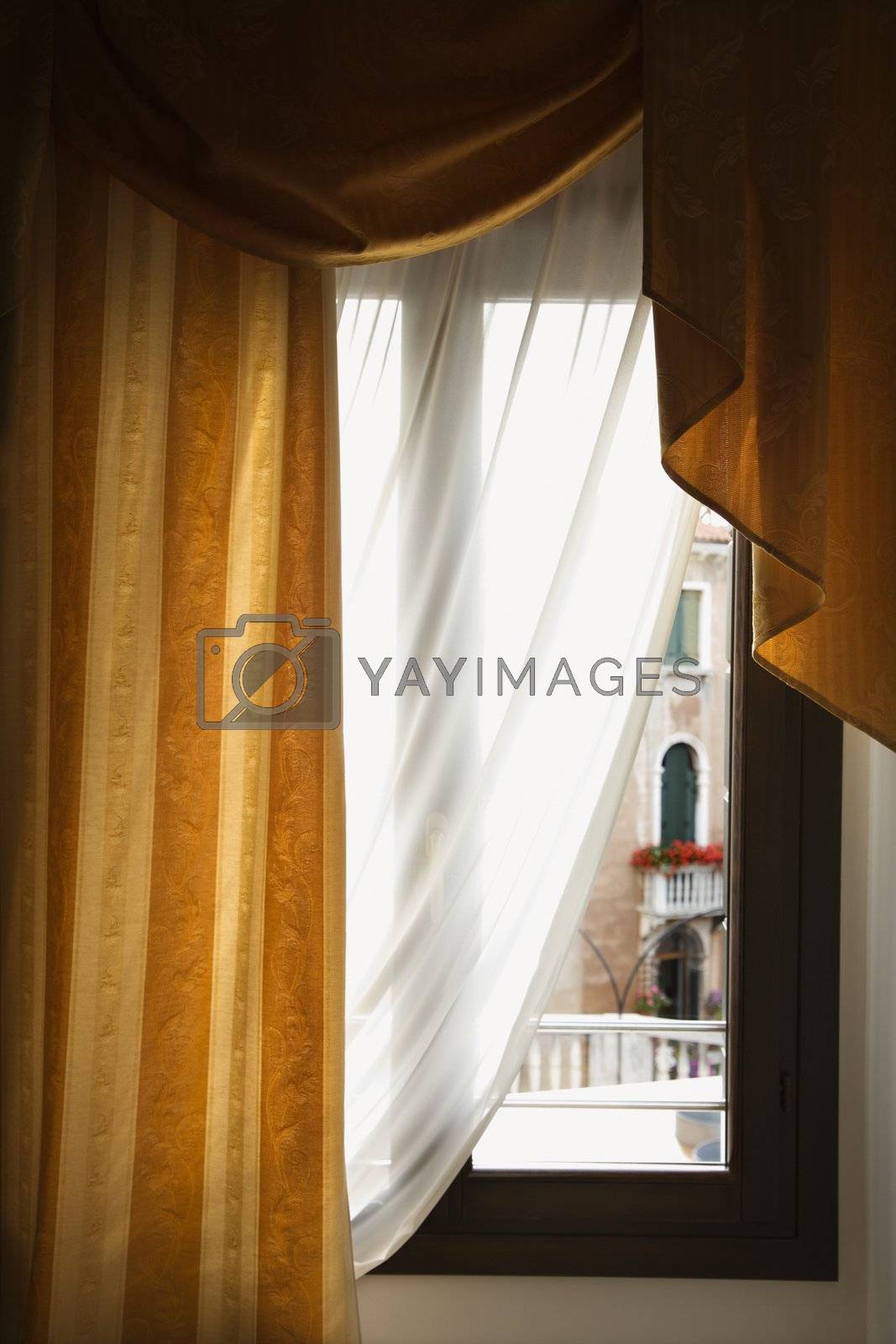 Royalty free image of Window with drapes. by iofoto