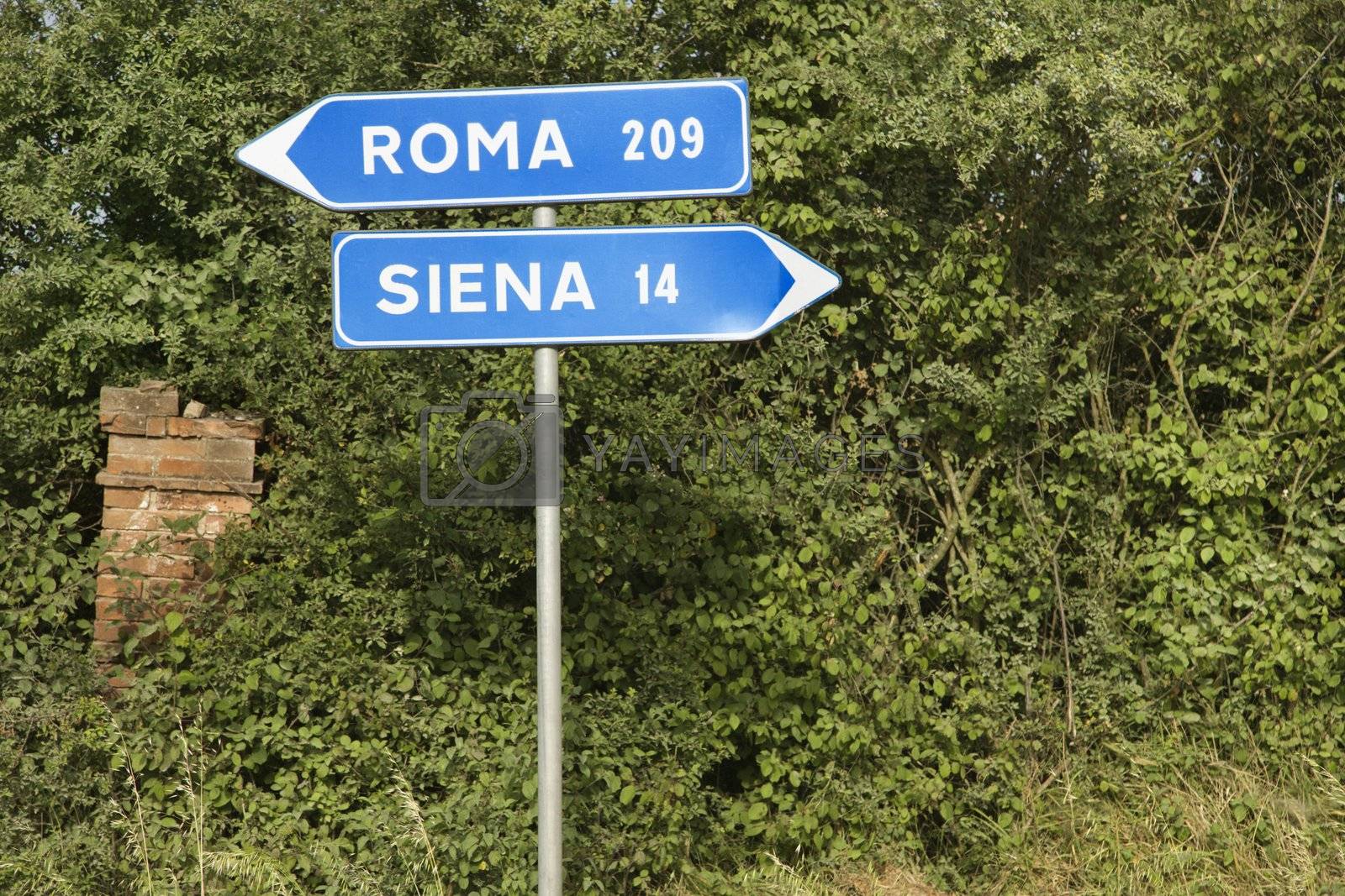 Royalty free image of Italian street signs. by iofoto