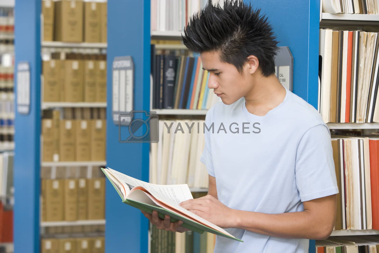 Royalty free image of University student reading in library by MonkeyBusiness