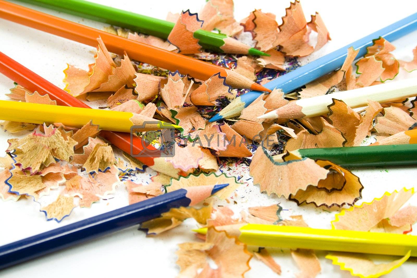 Royalty free image of coloured pencils and sawdust by marylooo
