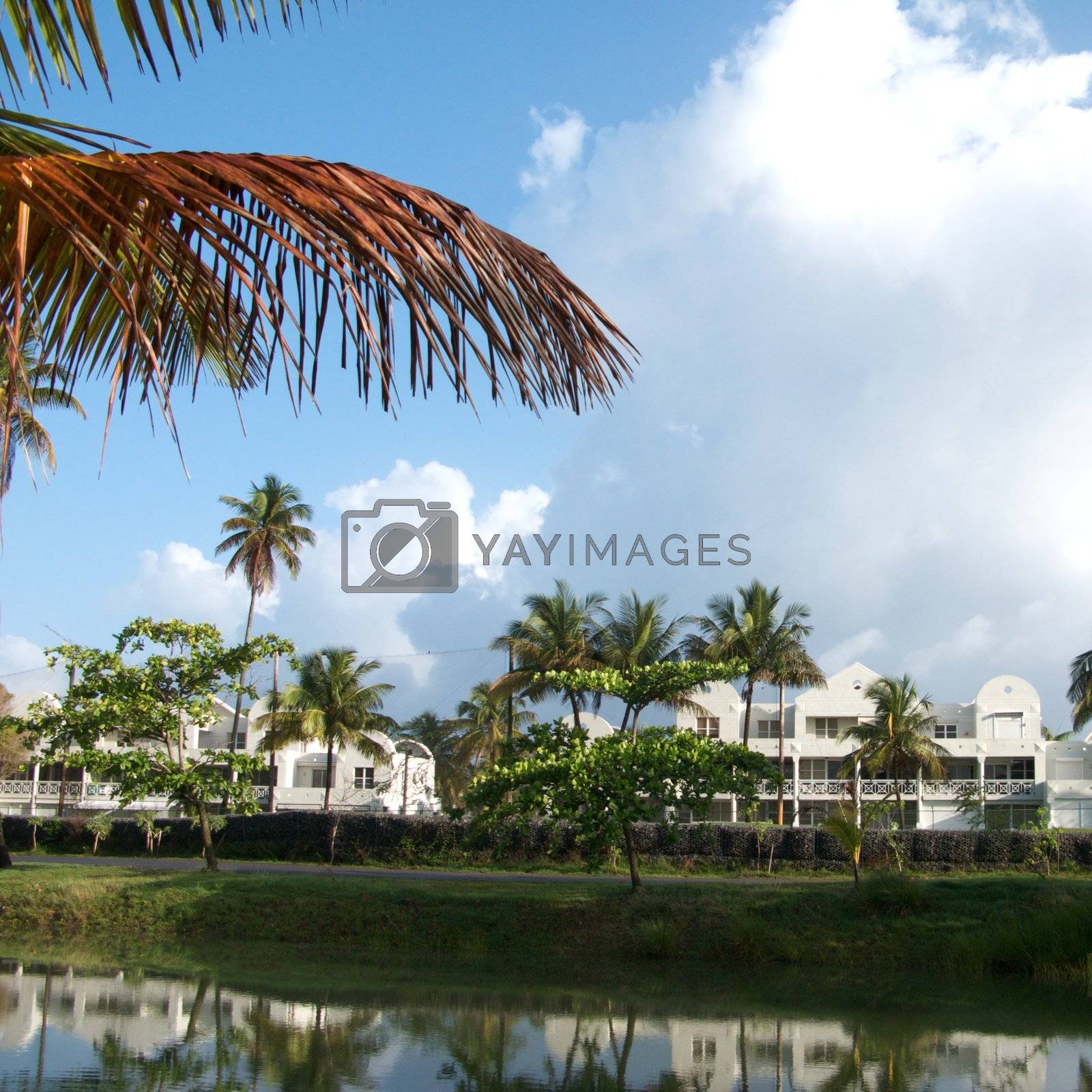 Royalty free image of Puerto Rico Resort by jedphoto